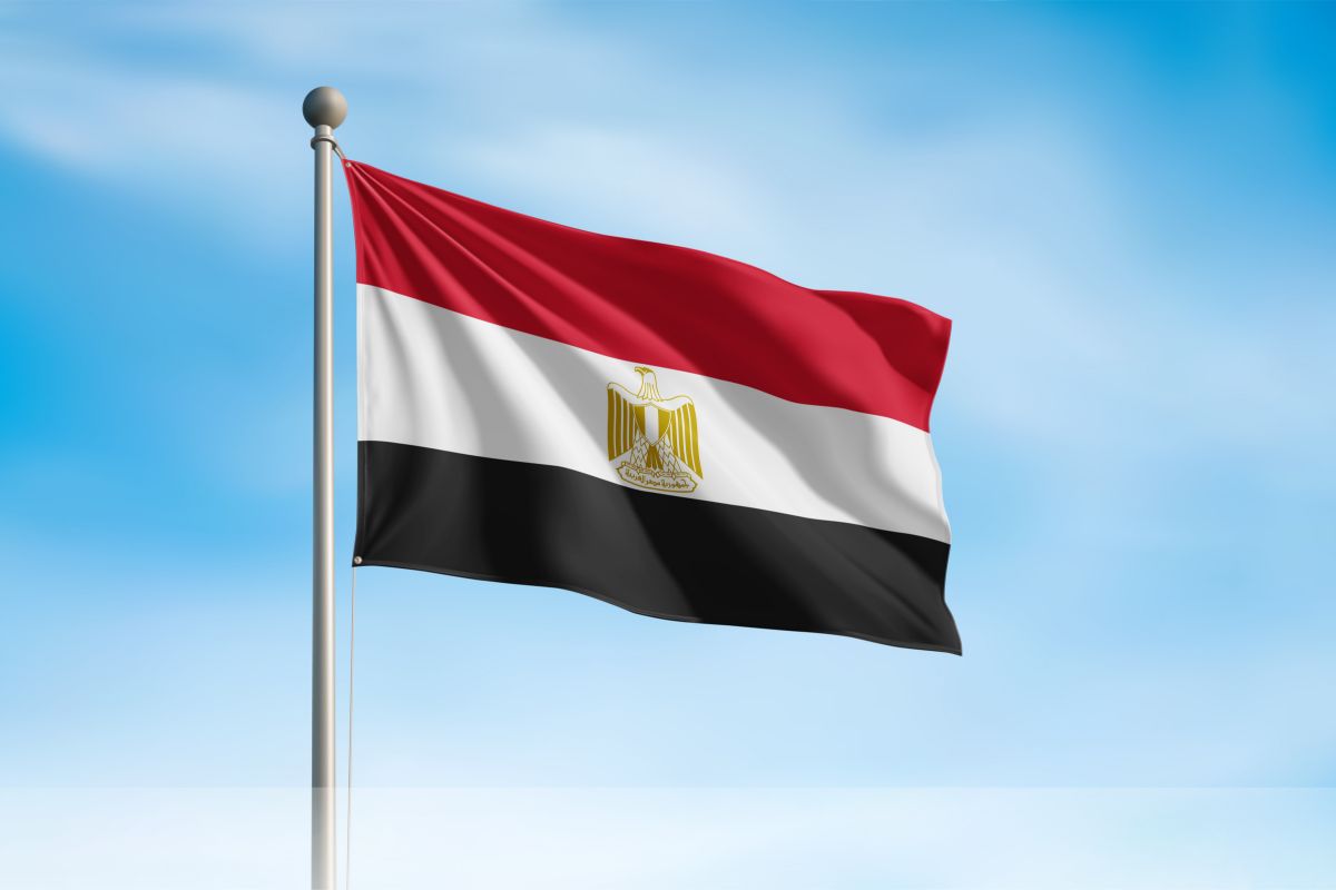 Egypt Immigration & Visa Services